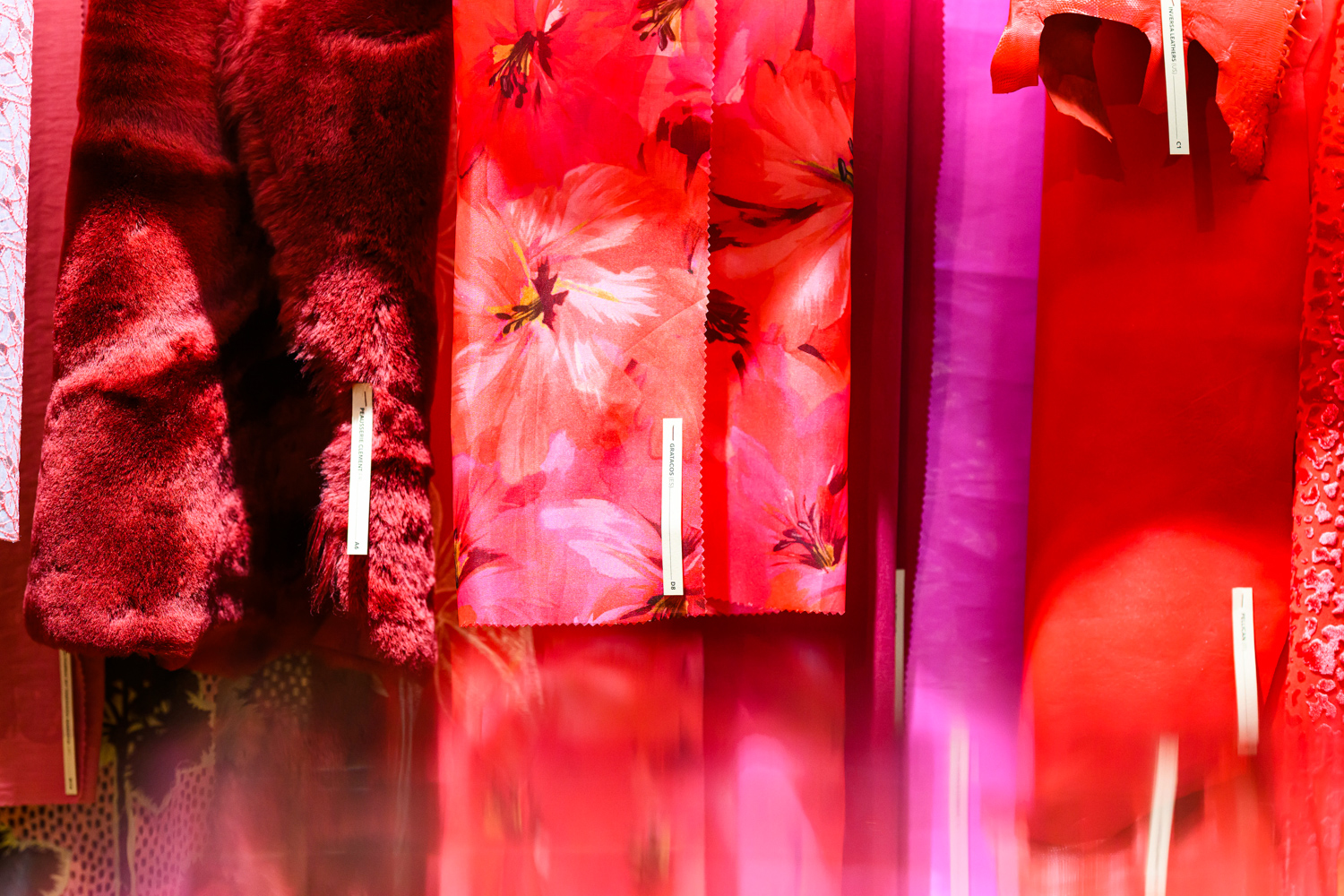 155_Blossom_10-12-2025_%C2%A9AlexGallosi-6071